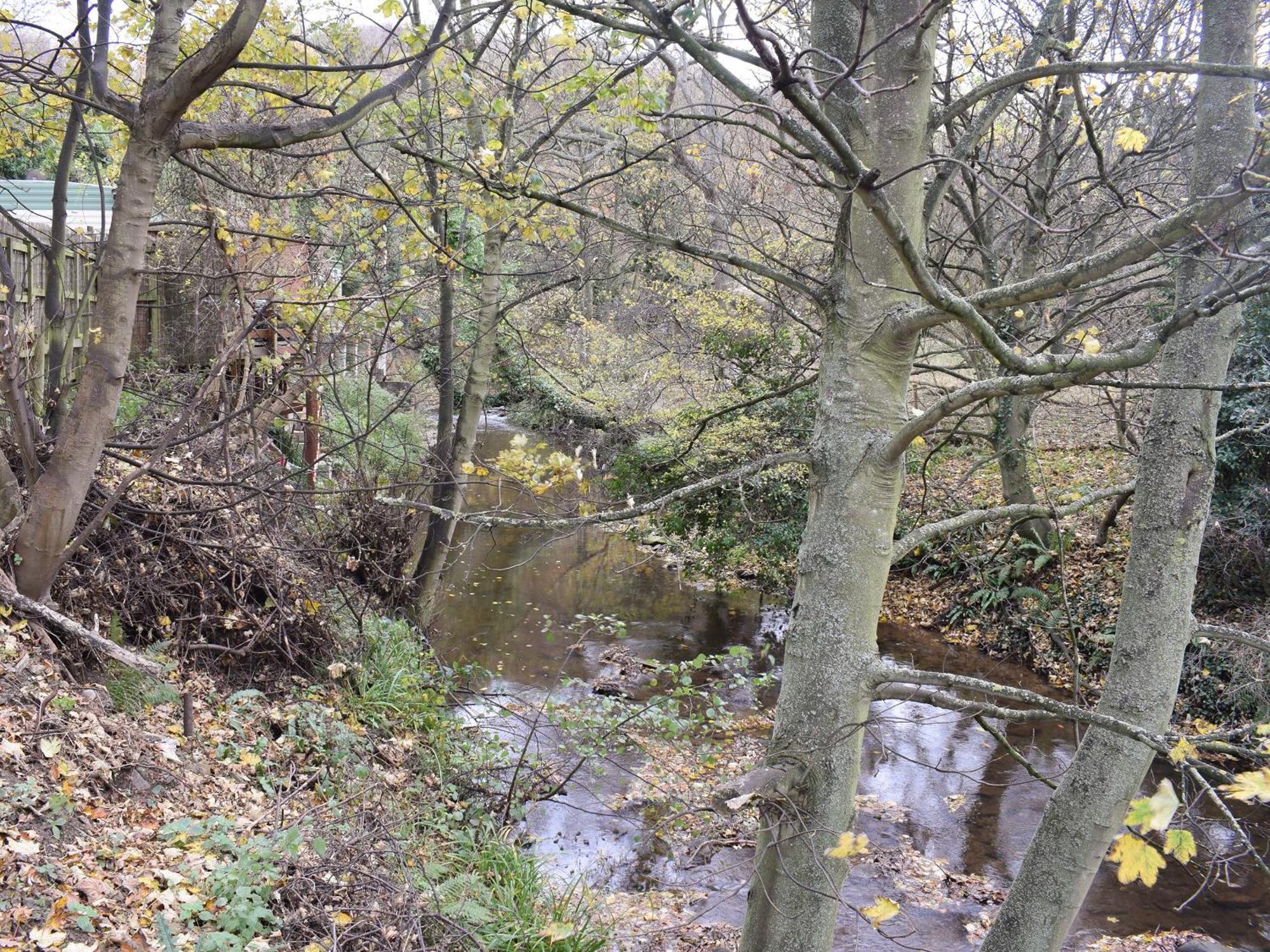 Pheasant Lodge Staithes Bagian luar foto
