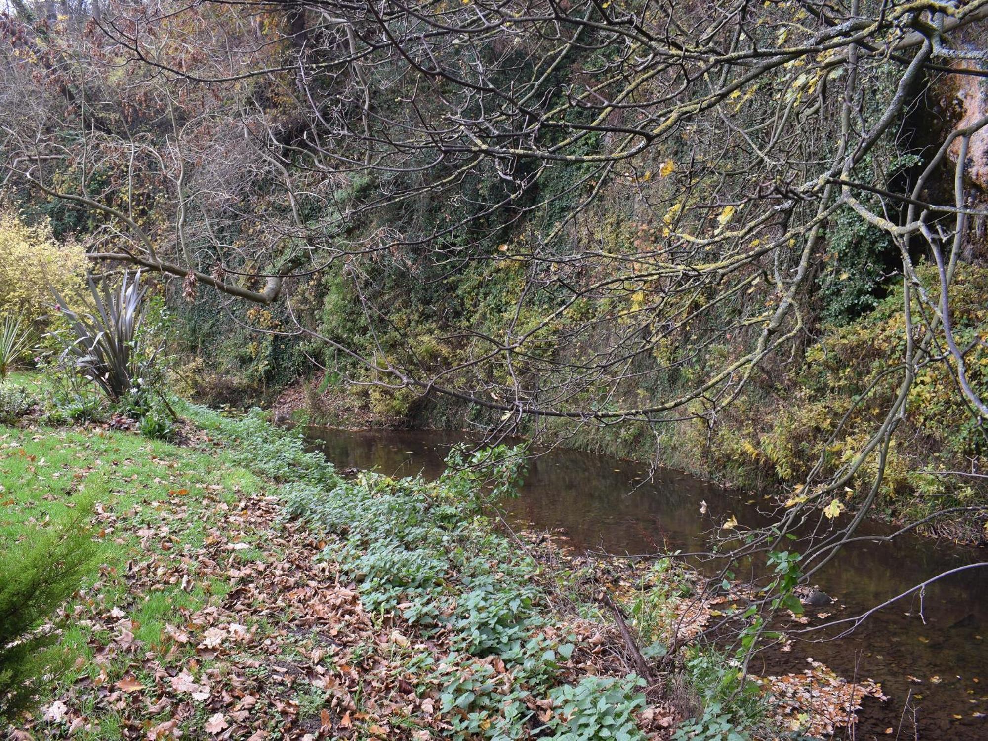 Pheasant Lodge Staithes Bagian luar foto